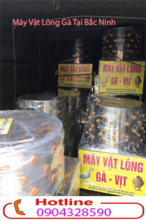 Phân phối các loại máy vặt lông gà, vịt, ngan giá siêu rẻ tại Bắc Ninh